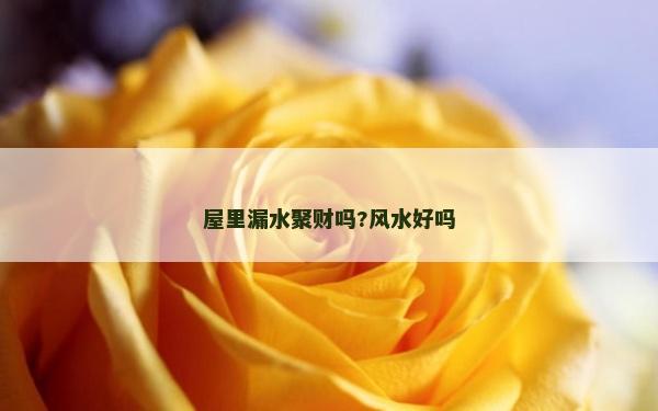 屋里漏水聚財(cái)嗎?風(fēng)水好嗎