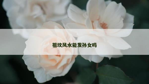 祖墳風水能發孫女嗎