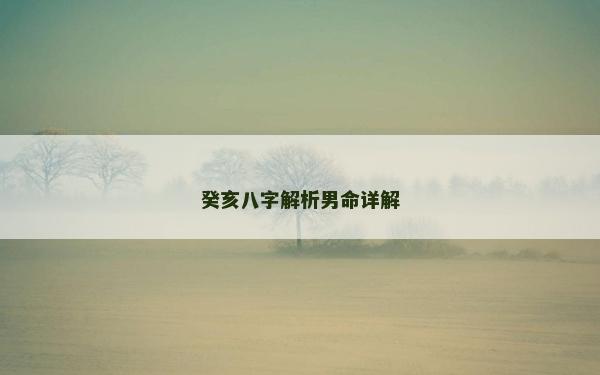 癸亥八字解析男命詳解