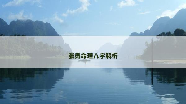 張勇命理八字解析 張勇命理八字解析