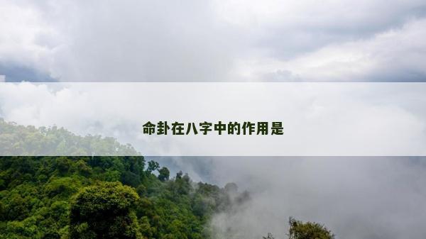命卦在八字中的作用是