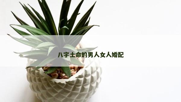 八字土命的男人女人婚配