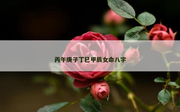 丙午庚子丁巳甲辰女命八字