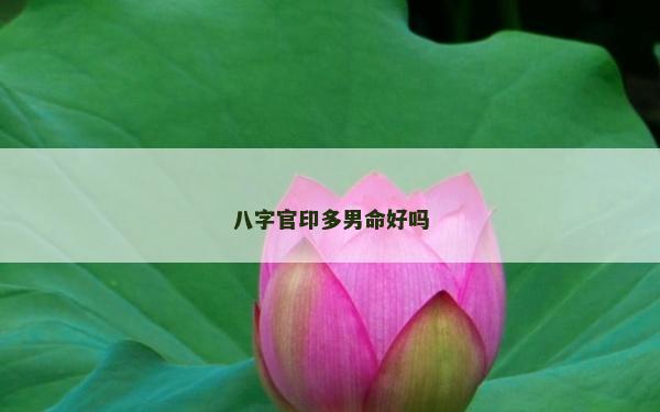 八字官印多男命好嗎