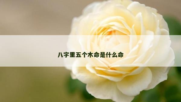 八字里五個木命是什么命