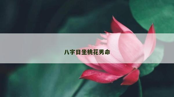 八字日坐桃花男命