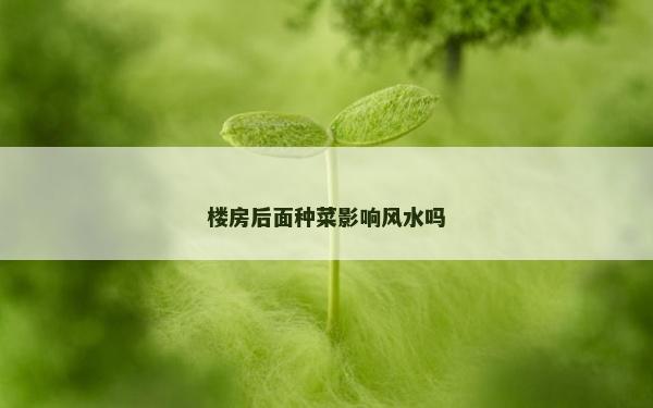 樓房后面種菜影響風水嗎