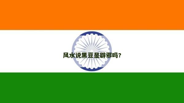 風水說黑豆是辟邪嗎?