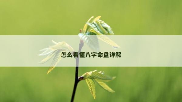 怎么看懂八字命盤詳解