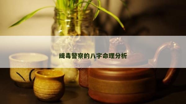 緝毒警察的八字命理分析