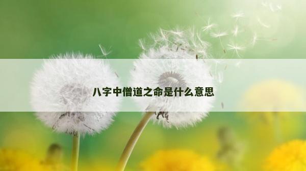 八字中僧道之命是什么意思 八字中僧道之命是什么意思