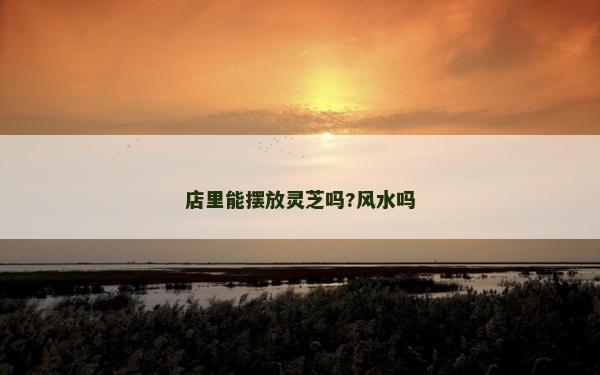 店里能擺放靈芝嗎?風水嗎