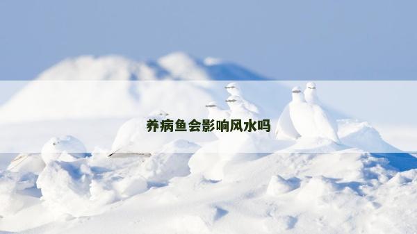 養病魚會影響風水嗎