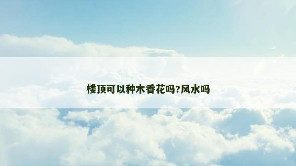樓頂可以種木香花嗎?風水嗎