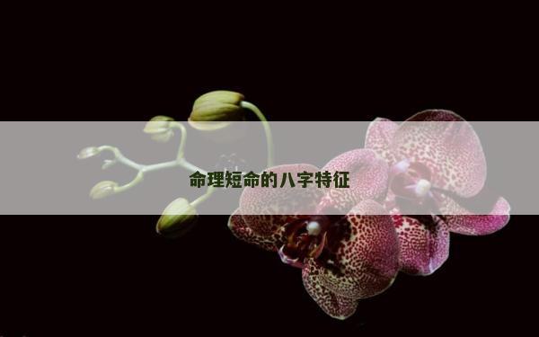 命理短命的八字特征