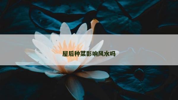 屋后種菜影響風(fēng)水嗎