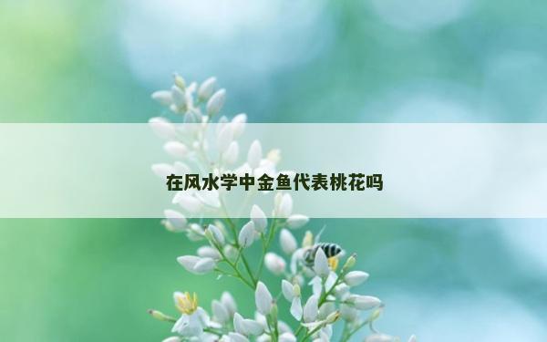 在風水學中金魚代表桃花嗎