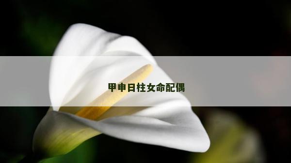 甲申日柱女命配偶