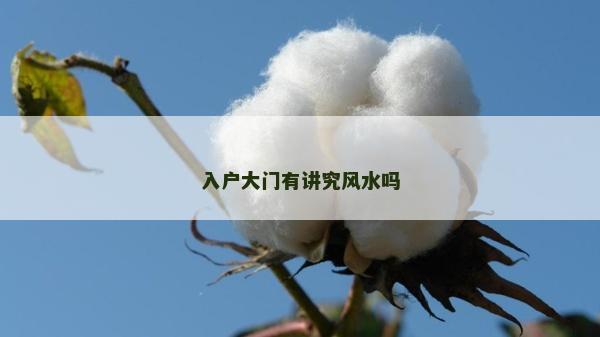 入戶大門有講究風(fēng)水嗎