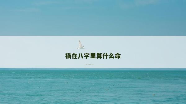 貓在八字里算什么命
