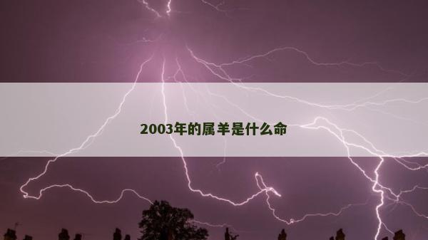 2003年的屬羊是什么命
