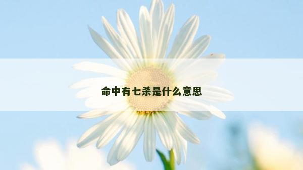 命中有七殺是什么意思