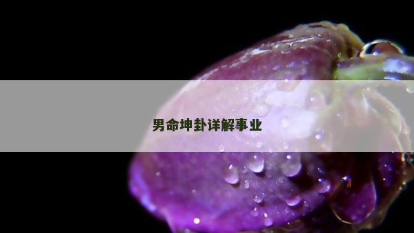 男命坤卦詳解事業(yè)