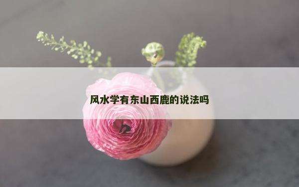 風水學有東山西鹿的說法嗎