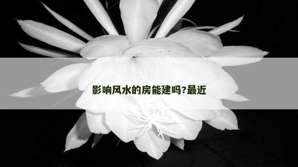 影響風(fēng)水的房能建嗎?最近