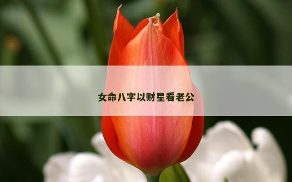 女命八字以財星看老公