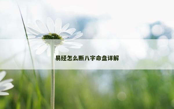 易經怎么斷八字命盤詳解