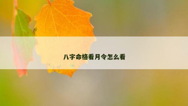 八字命格看月令怎么看