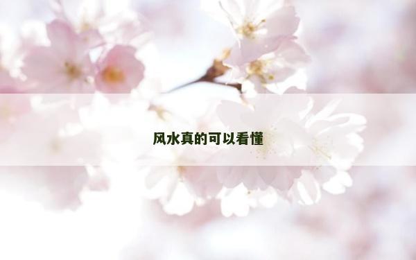 風水真的可以看懂