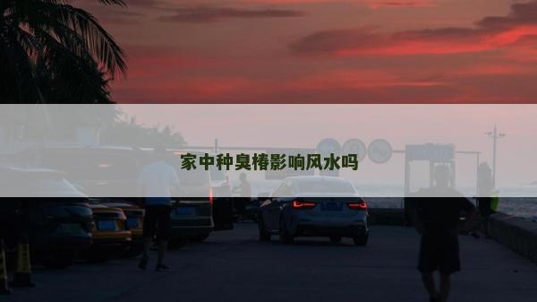 家中種臭椿影響風(fēng)水嗎