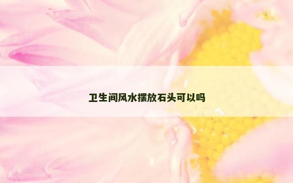 衛生間風水擺放石頭可以嗎