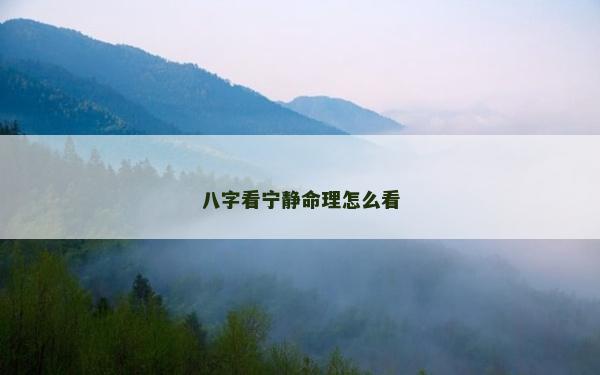 八字看寧靜命理怎么看