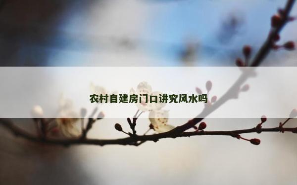 農村自建房門口講究風水嗎