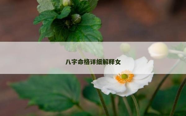 八字命格詳細解釋女