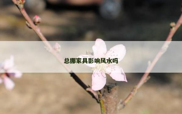 總挪家具影響風水嗎