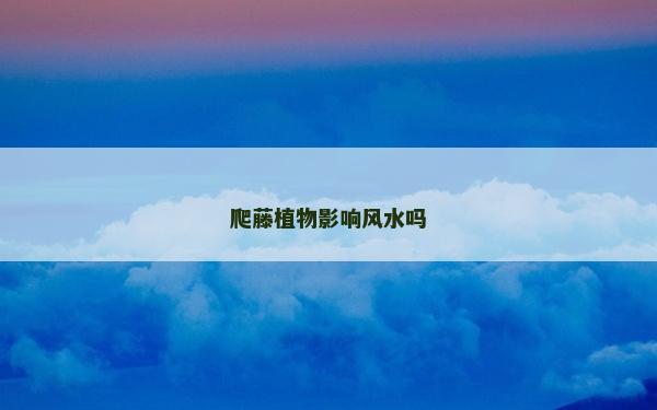 爬藤植物影響風水嗎