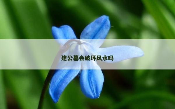建公墓會(huì)破壞風(fēng)水嗎