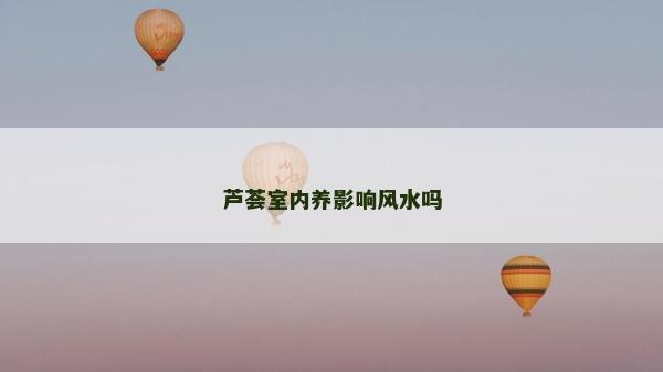 蘆薈室內(nèi)養(yǎng)影響風(fēng)水嗎
