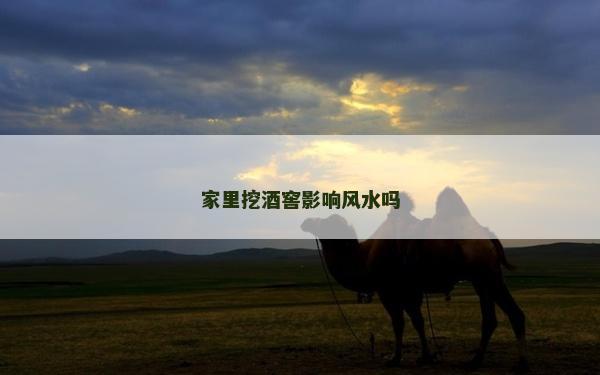 家里挖酒窖影響風(fēng)水嗎