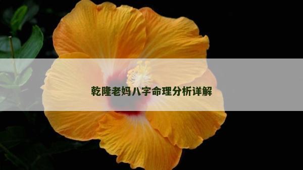 乾隆老媽八字命理分析詳解 乾隆老媽八字命理分析詳解