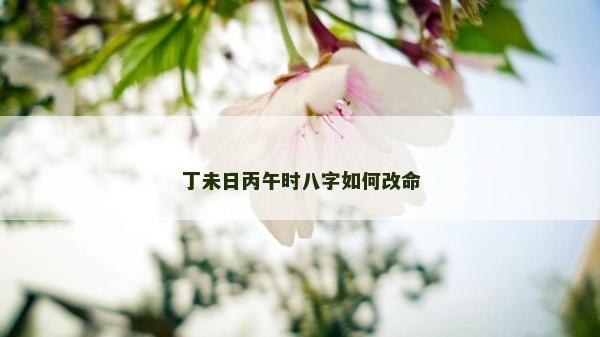 丁未日丙午時八字如何改命