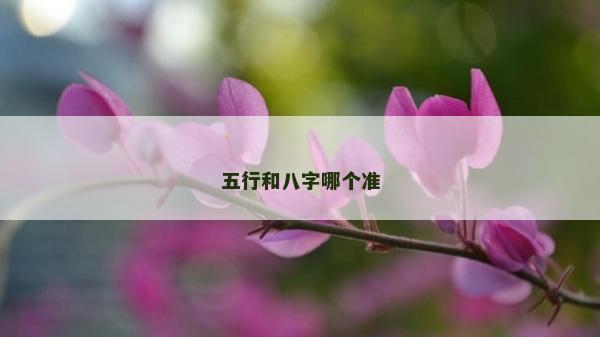 五行和八字哪個準