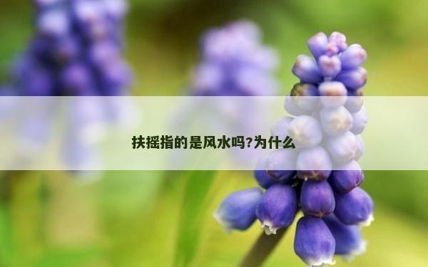 扶搖指的是風水嗎?為什么
