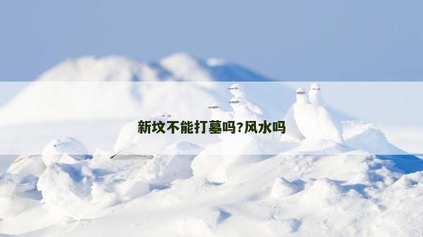 新墳不能打墓嗎?風(fēng)水嗎