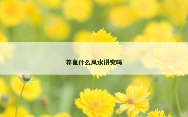 養魚什么風水講究嗎
