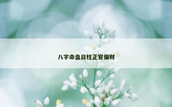 八字命盤日柱正官偏財